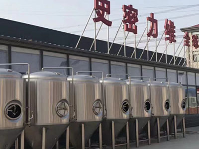 汉寿精酿啤酒设备厂—如何判断精酿啤酒设备的密封件需要更换？